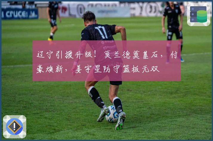 辽宁引援升级！莫兰德奠基石，付豪焕新，姜宇星防守篮板无双